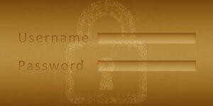 Newsletter image: Password Alternatives for Online Authentication