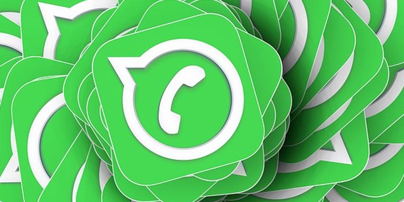 Newsletter Image: WhatsApp