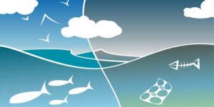 Newsletter Image: AI Aids Environmental Protection