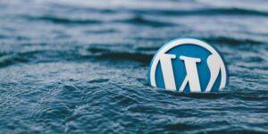 Newsletter Image: The Ongoing WordPress.org vs WP Engine Battle