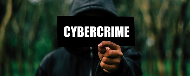 cybercrime image