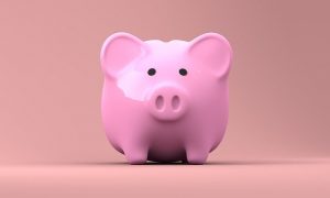 pink piggy bank